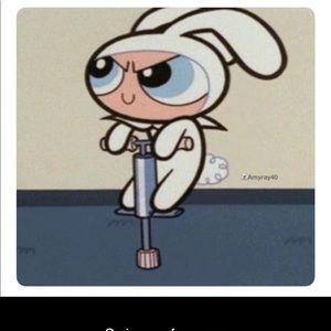 Meet your Posher, Belle